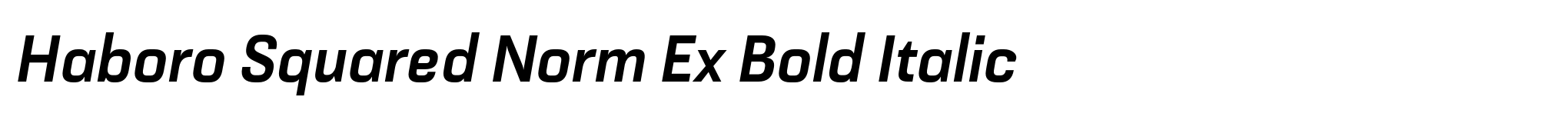 Haboro Squared Norm Ex Bold Italic image